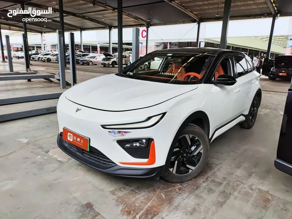 BYD SEAGULL 305km