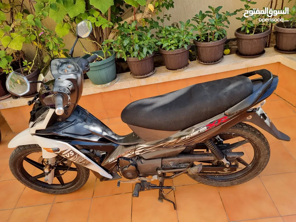 tvs motorcycle for sale