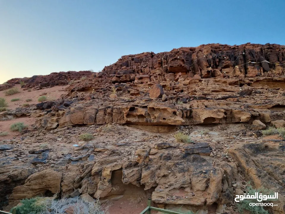 تصوير فيديو و فوتوغراف - عروض الصيف