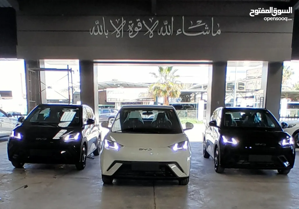 بي واي دي سيجال 2024 عداد زيرو كفاله 6 سنوات  BYD Seagull 2024  zero