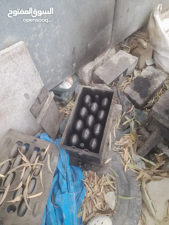 معدات معمل طول للبيع