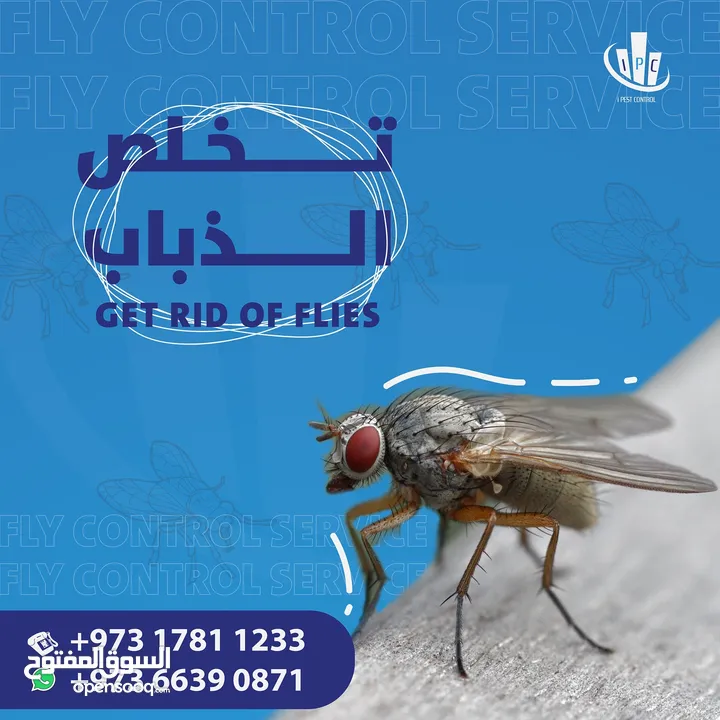 IPC Is Providing 24/7 Pest Control Service in Bahrain - Contact Now!