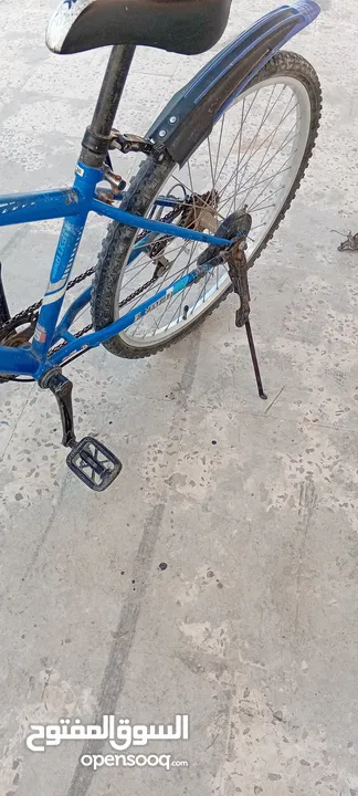 بسكليت ياباني