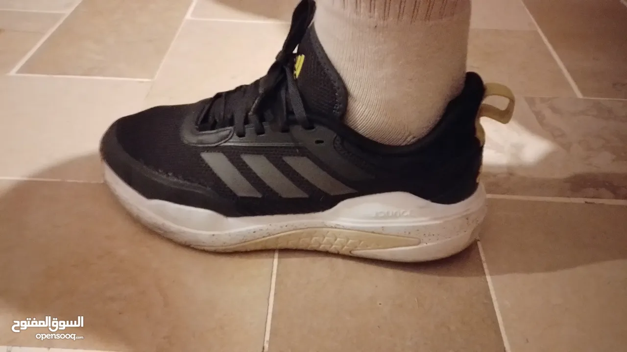 Adidas team bounce +nike react +puma ferrari neuf