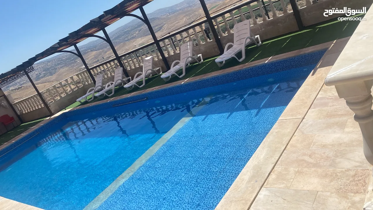 مزرعة ابو احمد البلوطي