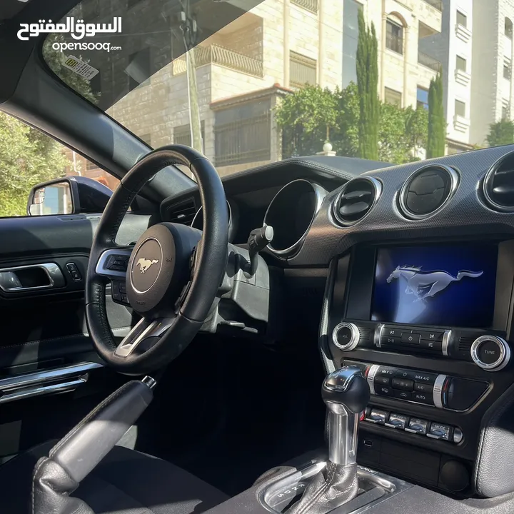 Ford Mustang 2019 Ecoboost 2.3 10 speed Low mileage