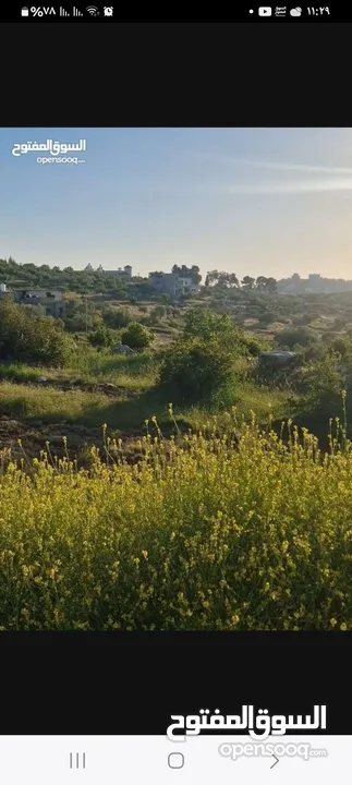 ارض للبيع في منطقه جفنا  مساحه 400متر