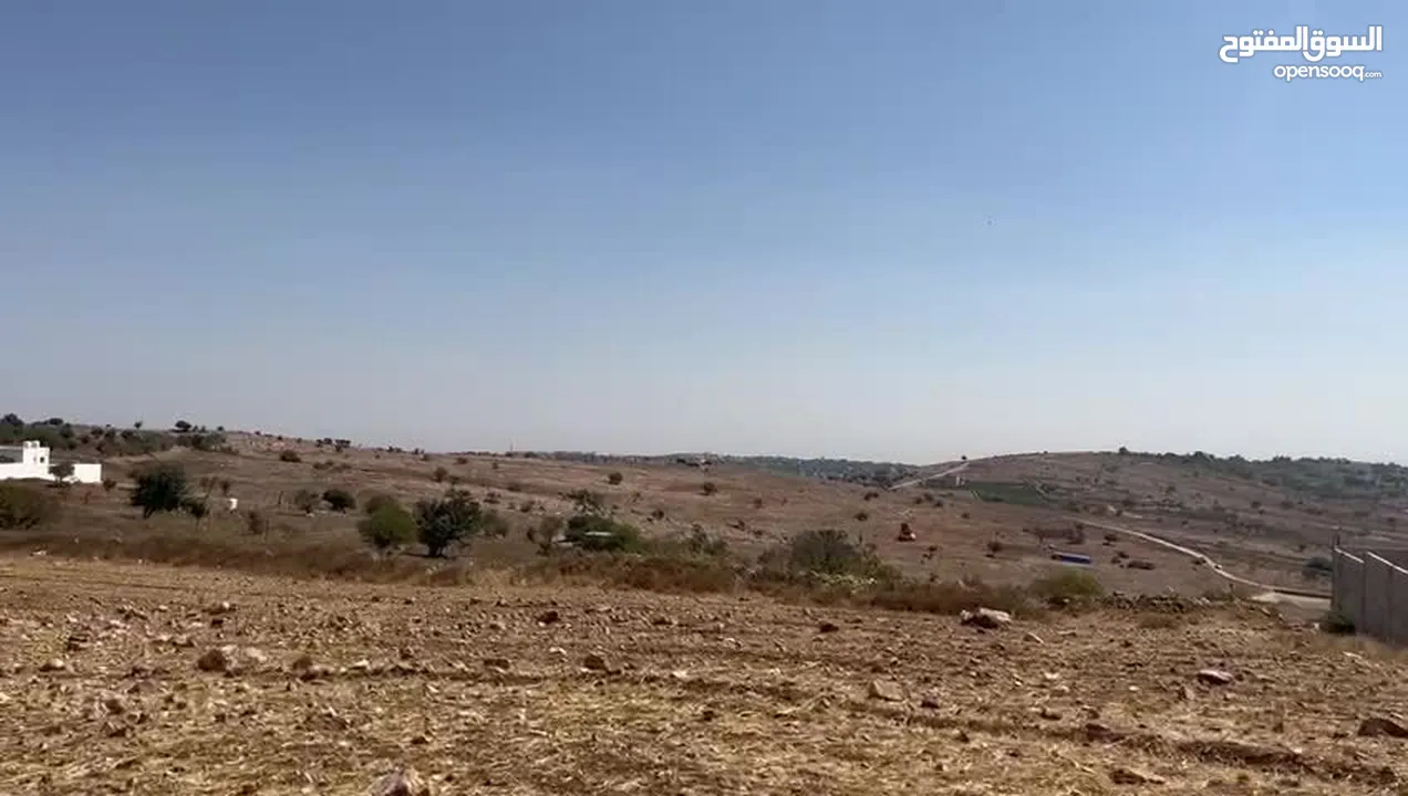 قطعة ارض زراعية مرتفعة خلف جامعة عجلون الوطنية ، بافضل اطلاله في عجلون - من المالك وبسعر مغري