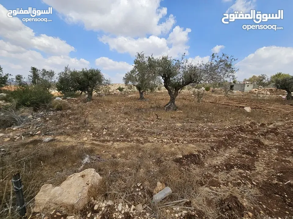 فرصة استثمارية لا تعوض . ارض مميزة للبيع في بيت قاد
