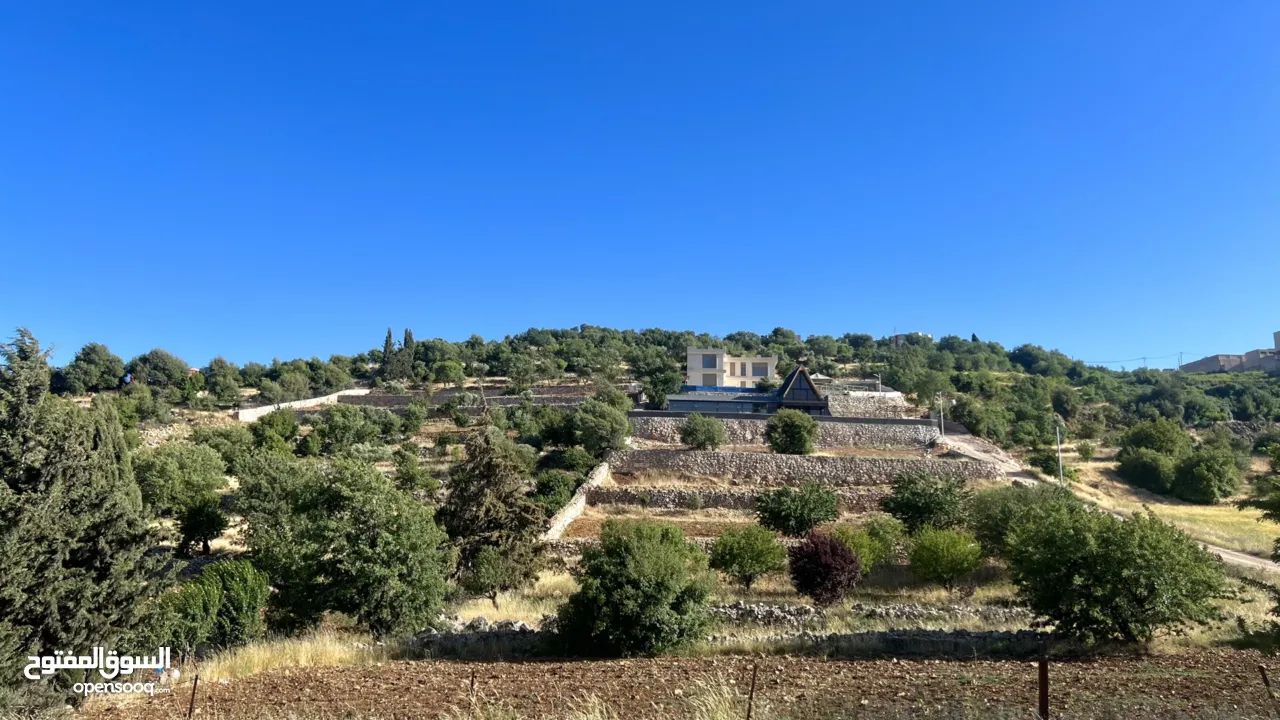 ارض للبيع في الأردن - عجلون