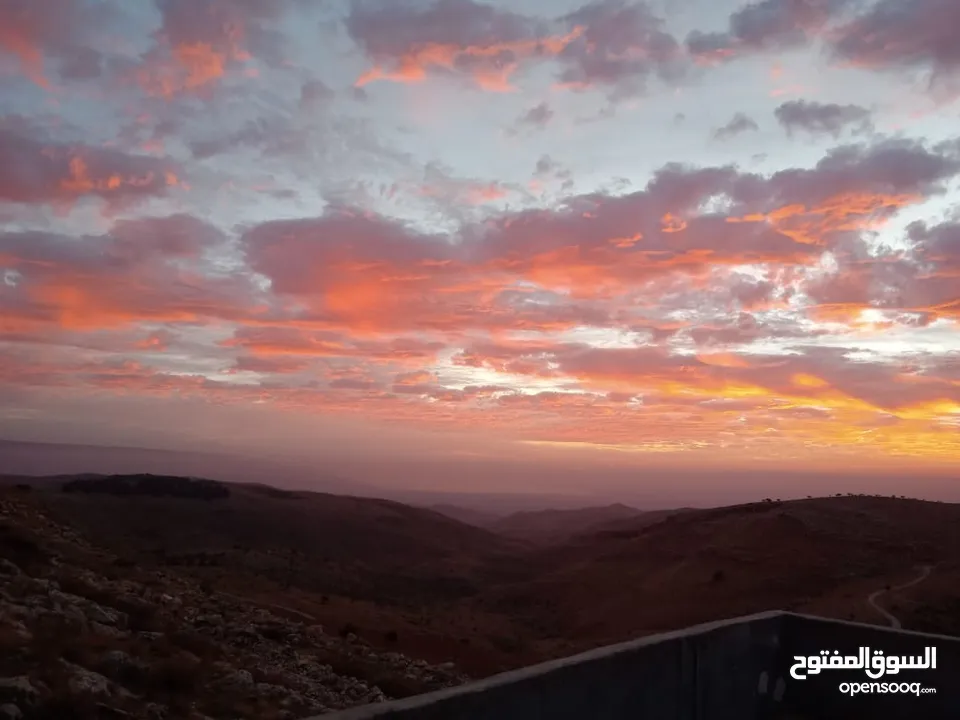 مزرعة للبيع في يرقا-السلط، إسكان المهندسين