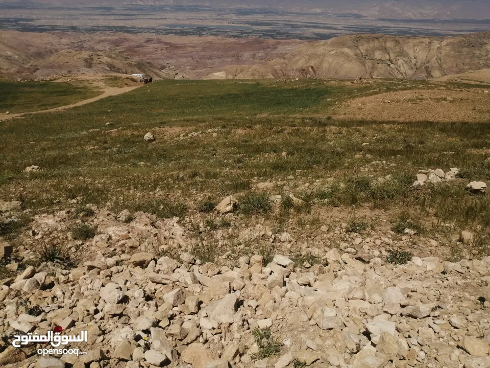 4600م الوطية اطلالة غربية كاملة ع جبال فلسطين