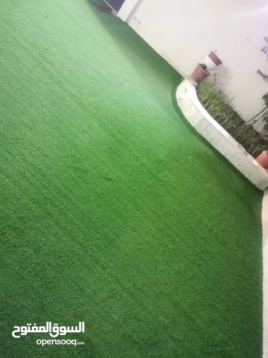 Grass carpet for sale low price