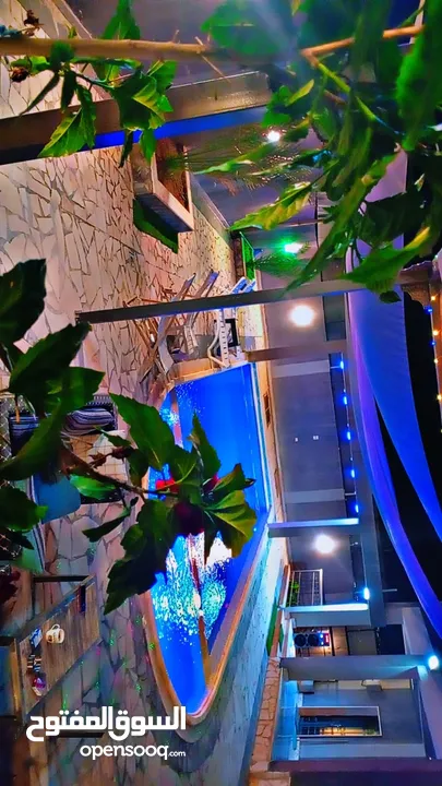 شاليه للايجار
