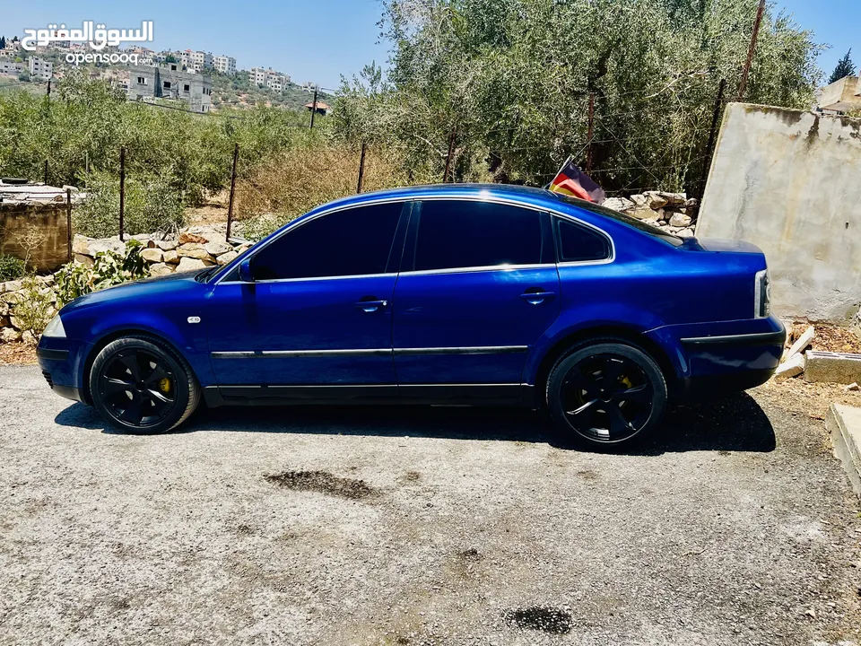 باسات فراشة