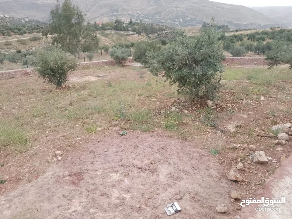 أرض ذات إطلالة خلابة في أجمل مناطق جرش