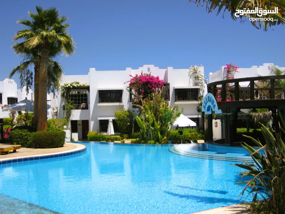 Very nice apartment in Delta Sharm for sale