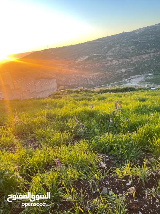 3.400 ماحص بعد الميده