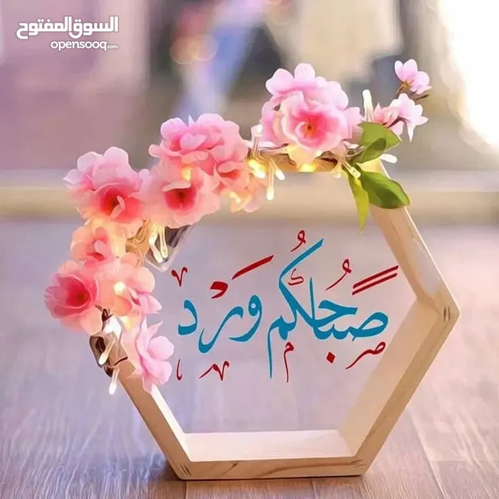 عروض للبيع في السراج و الدعوة والحسن و الحسين وطريق المطار