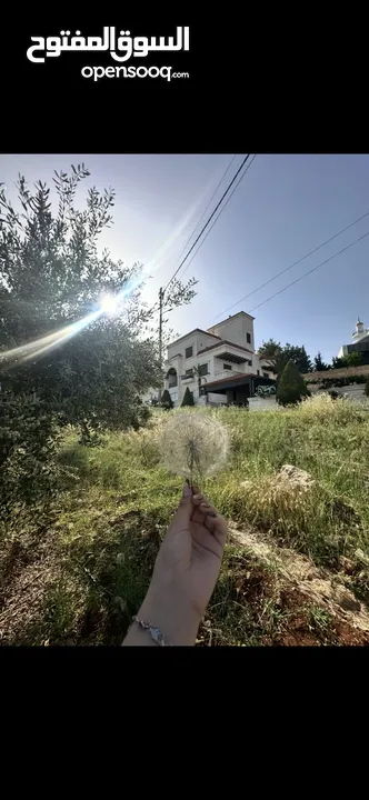 قطعة ارض سكنية مطلة في بدر