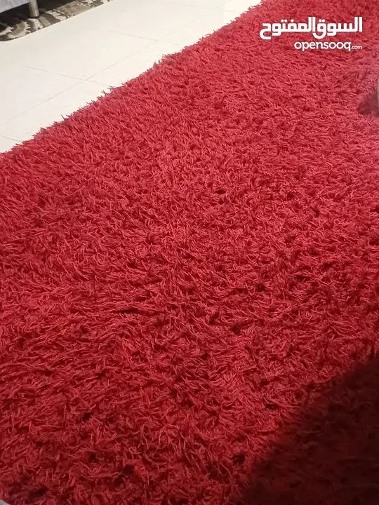 سجادة شاغي نضيفة وكبيرة لون خمري