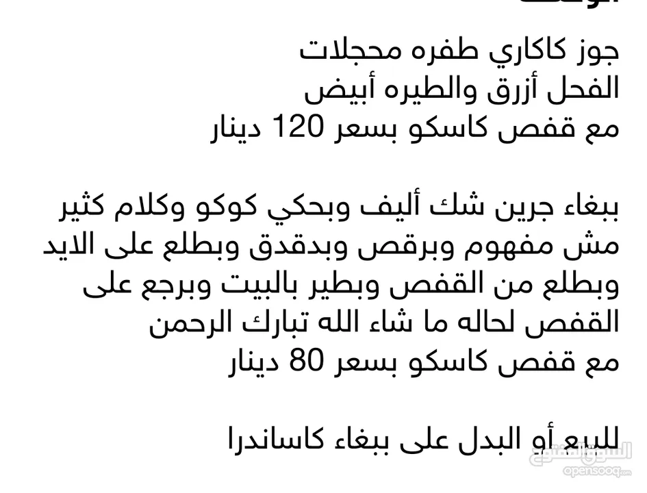 طيور للبيع