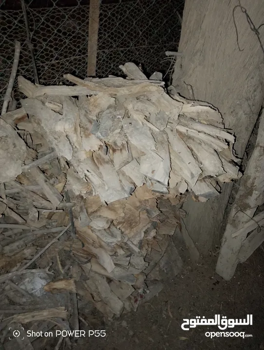 تشكيلة حطب للبيع