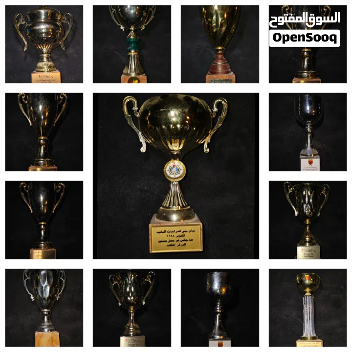 للبيع 15 كأس سباقات اصلين