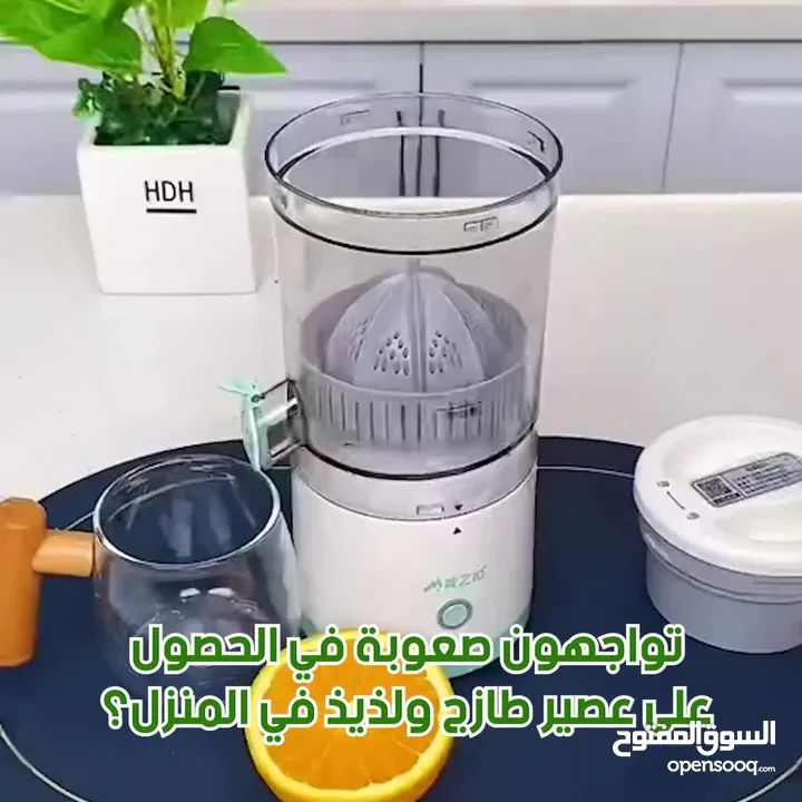 Multi functional electric juicer