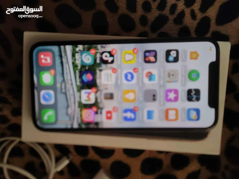 iPhone Xss