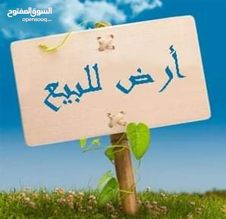 قطعه رقم بلديه  للبيع  مضمونه