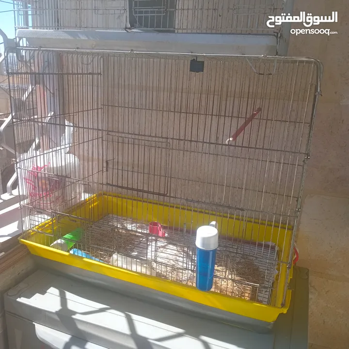 قفاص بحال الوكاله لتواصل الزرقاء