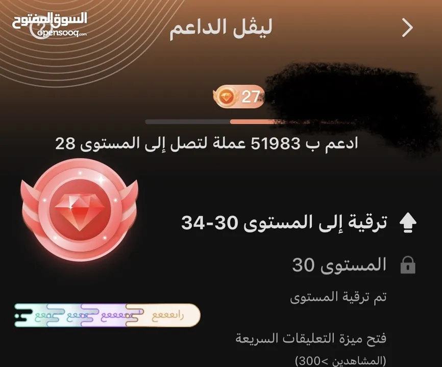 حساب جاكو داعم لفل 29