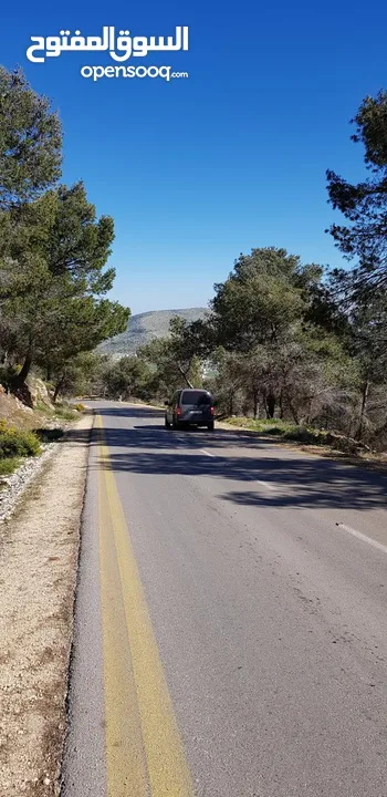 فيلا فاخرة على أرض 2000م تصنيف أ A, طابو – زاوية شارعين + مجلس ضيوف مستقل في طوباس