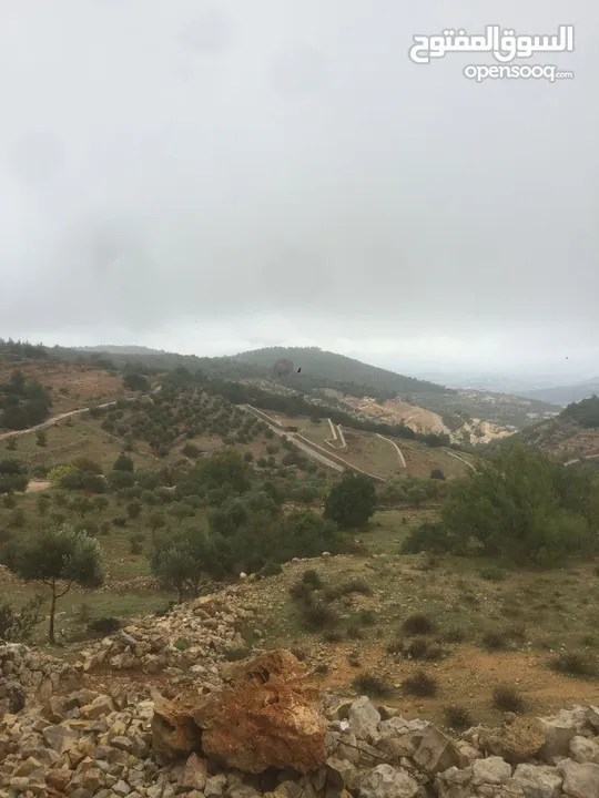 فرصة استثمارية! أرض زراعية مميزة بسعر مغري و بالقرب من أحراش الدولة للمزيد من المعلومات اقرأ الوصف