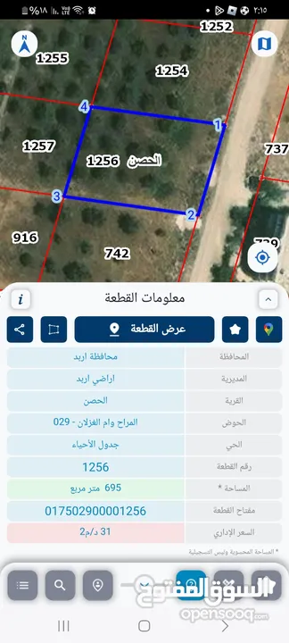 مزرعة زيتون على طريق كتم  بقرب شارع الميه