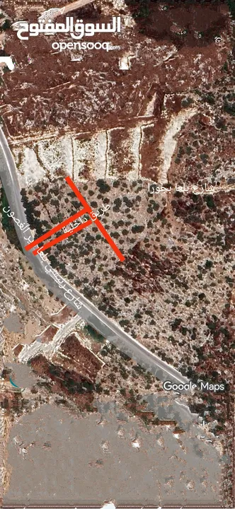 القبة الذهبية  شارع بلعا-دير الغصون