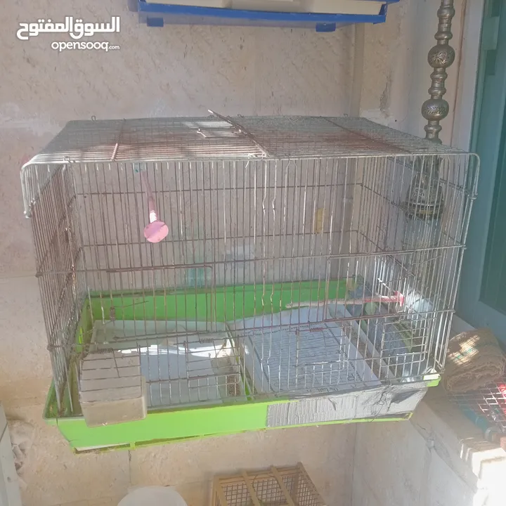 قفاص بحال الوكاله لتواصل الزرقاء
