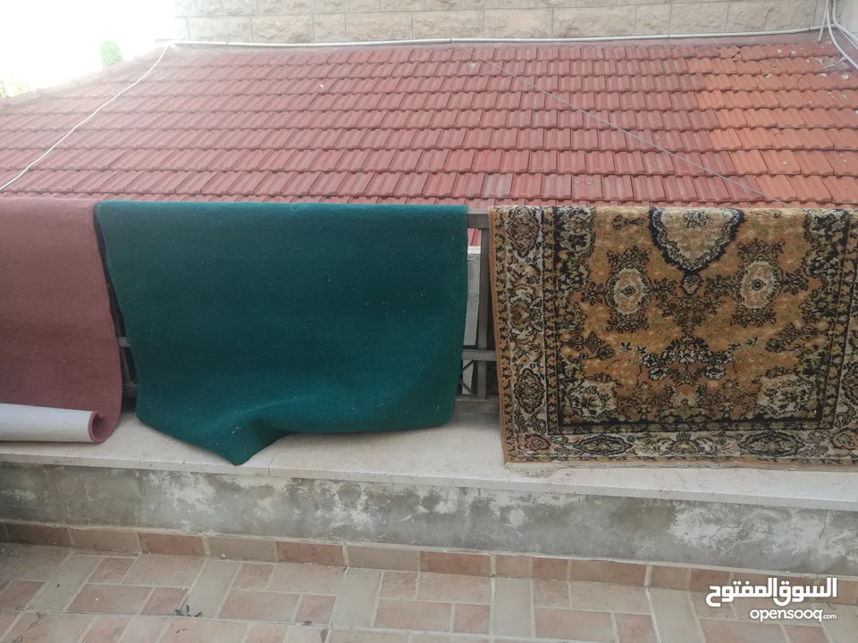 ممرات سجاد للبيع شجر تين خرتماني ازراقي وعناب للبيع