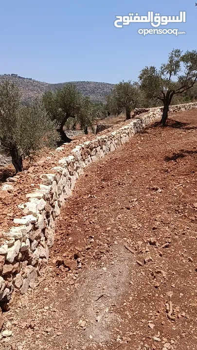 عمارة اراضي وبناء السناسل