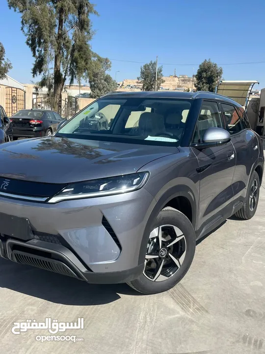 Byd yuan up 2024