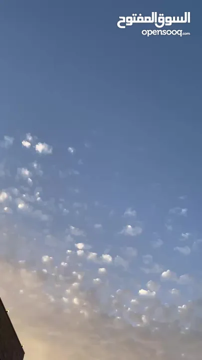 شاليه فاخر للايجار - طريق البحر الميت - الراما