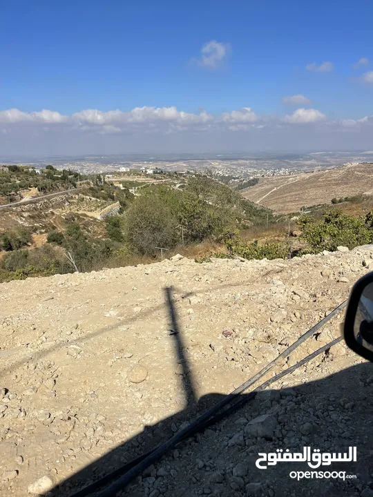 ابو موسى القواسمه