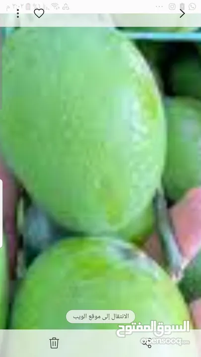 مانجو .لمبأ.حدال