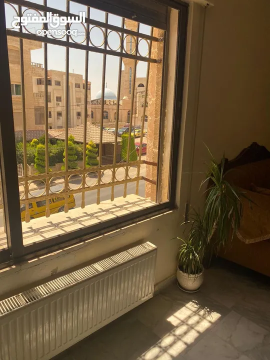 شقة مفروشة للايجار
