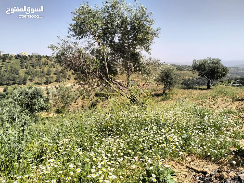 أرض مميزة جداً لعمل شاليه استثماري أو مزرعة خاصة أو مزرعة تجارية يوجد بها قناة ماء من المالك مباشرة