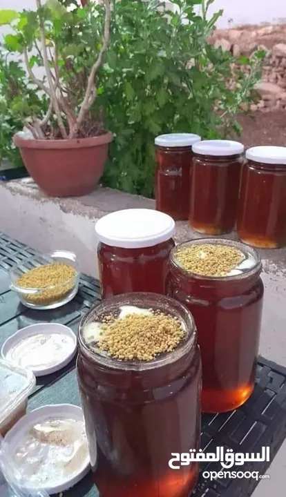 عسل طبيعي 100% سدر حمضي جبلي  ومضمون وشمع بالعسل وغداء الملكات