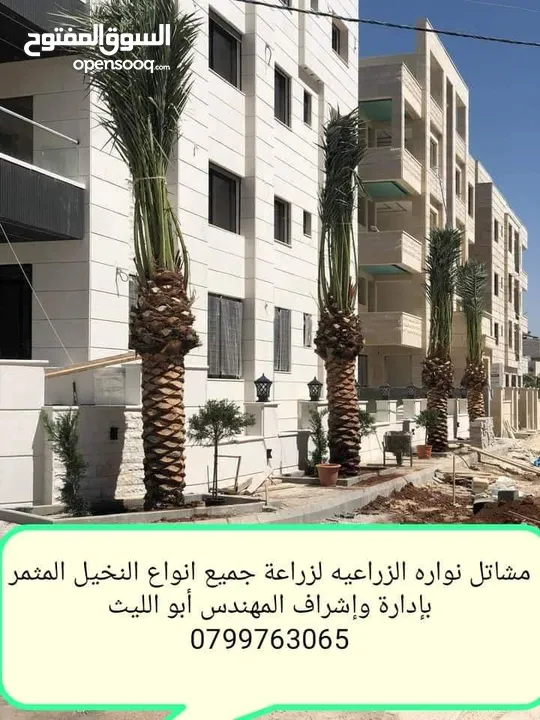 شجرنا انتاجنا