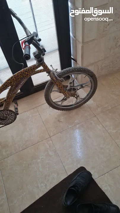 بسكليت اوروبي