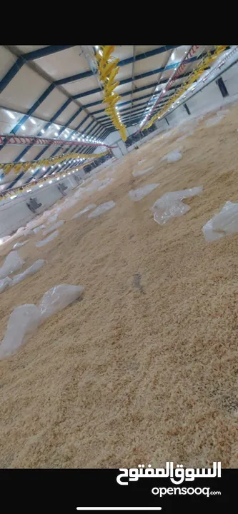 اراض 9 دونم مع مشروع مزرعه جاج مرخصه و موقع استراتيجي قريب ع معبر تجاري و مدخل اهل الداخل محتل